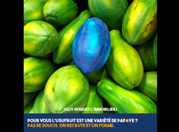 Notre agence Guy Hoquer de Royan recrute !